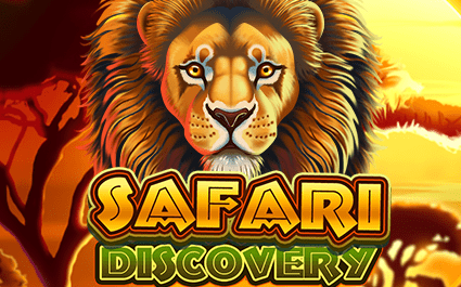 Safari Discovery